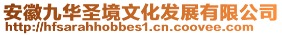 安徽九華圣境文化發(fā)展有限公司