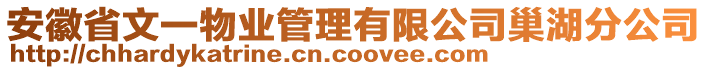 安徽省文一物業(yè)管理有限公司巢湖分公司