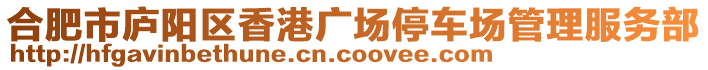 合肥市廬陽區(qū)香港廣場停車場管理服務(wù)部