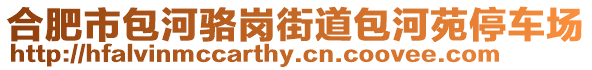 合肥市包河駱崗街道包河苑停車場(chǎng)