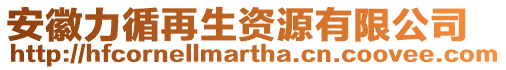 安徽力循再生資源有限公司