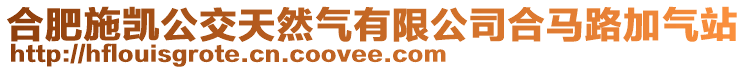 合肥施凱公交天然氣有限公司合馬路加氣站