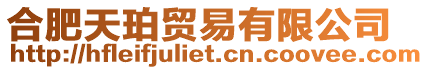 合肥天珀貿(mào)易有限公司