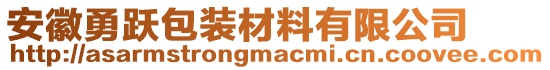安徽勇躍包裝材料有限公司