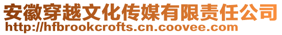 安徽穿越文化傳媒有限責任公司