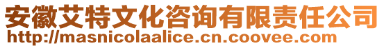 安徽艾特文化咨詢有限責(zé)任公司