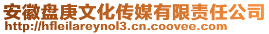 安徽盤庚文化傳媒有限責(zé)任公司