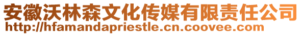 安徽沃林森文化傳媒有限責任公司
