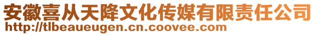安徽喜從天降文化傳媒有限責任公司