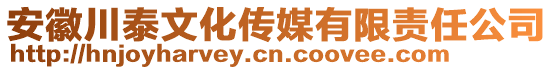 安徽川泰文化傳媒有限責(zé)任公司