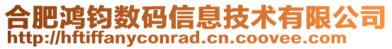 合肥鴻鈞數(shù)碼信息技術(shù)有限公司