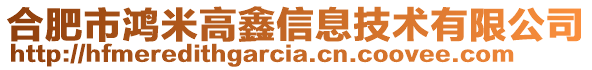 合肥市鴻米高鑫信息技術(shù)有限公司