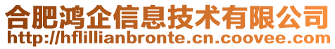 合肥鴻企信息技術有限公司
