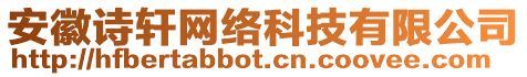 安徽詩(shī)軒網(wǎng)絡(luò)科技有限公司