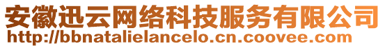 安徽迅云網(wǎng)絡(luò)科技服務(wù)有限公司