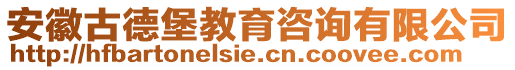 安徽古德堡教育咨詢有限公司