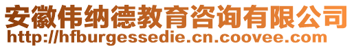 安徽偉納德教育咨詢有限公司