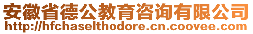 安徽省德公教育咨詢有限公司