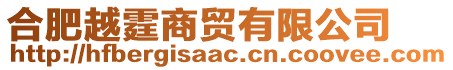合肥越霆商貿有限公司