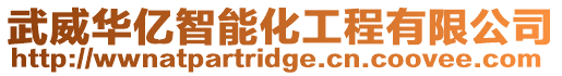 武威華億智能化工程有限公司