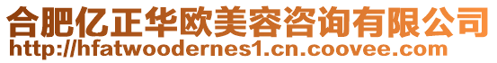 合肥億正華歐美容咨詢有限公司