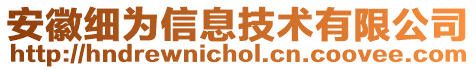安徽細(xì)為信息技術(shù)有限公司