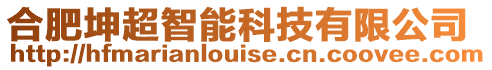 合肥坤超智能科技有限公司