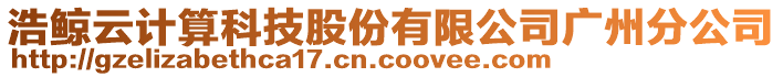 浩鯨云計(jì)算科技股份有限公司廣州分公司