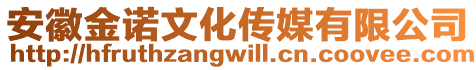 安徽金諾文化傳媒有限公司