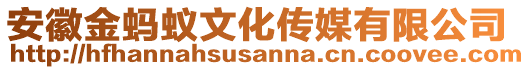 安徽金螞蟻文化傳媒有限公司