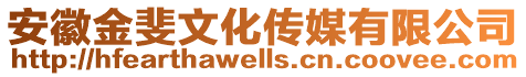 安徽金斐文化傳媒有限公司