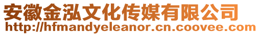 安徽金泓文化傳媒有限公司