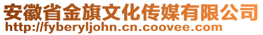 安徽省金旗文化傳媒有限公司