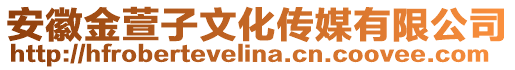 安徽金萱子文化傳媒有限公司