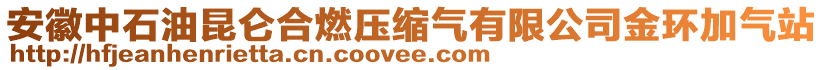 安徽中石油昆侖合燃壓縮氣有限公司金環(huán)加氣站