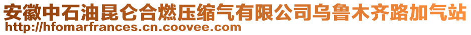 安徽中石油昆侖合燃壓縮氣有限公司烏魯木齊路加氣站