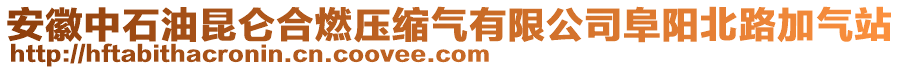 安徽中石油昆侖合燃?jí)嚎s氣有限公司阜陽北路加氣站