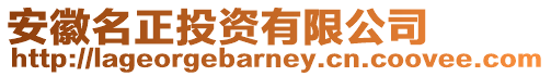 安徽名正投資有限公司