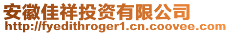 安徽佳祥投資有限公司