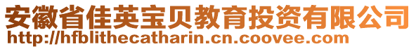 安徽省佳英寶貝教育投資有限公司