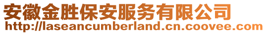 安徽金勝保安服務(wù)有限公司