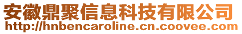 安徽鼎聚信息科技有限公司