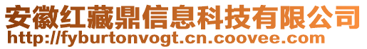 安徽紅藏鼎信息科技有限公司