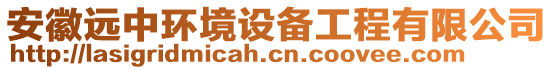 安徽遠中環(huán)境設(shè)備工程有限公司