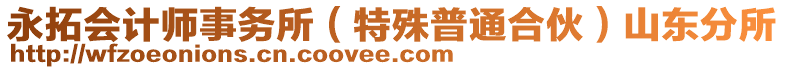 永拓會計師事務(wù)所（特殊普通合伙）山東分所