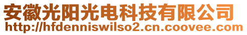 安徽光陽(yáng)光電科技有限公司