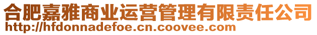 合肥嘉雅商業(yè)運(yùn)營(yíng)管理有限責(zé)任公司