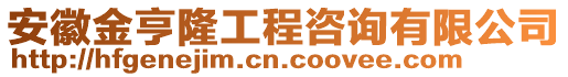 安徽金亨隆工程咨詢有限公司