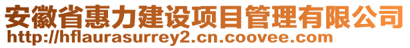 安徽省惠力建設(shè)項(xiàng)目管理有限公司