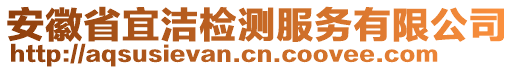 安徽省宜潔檢測服務(wù)有限公司